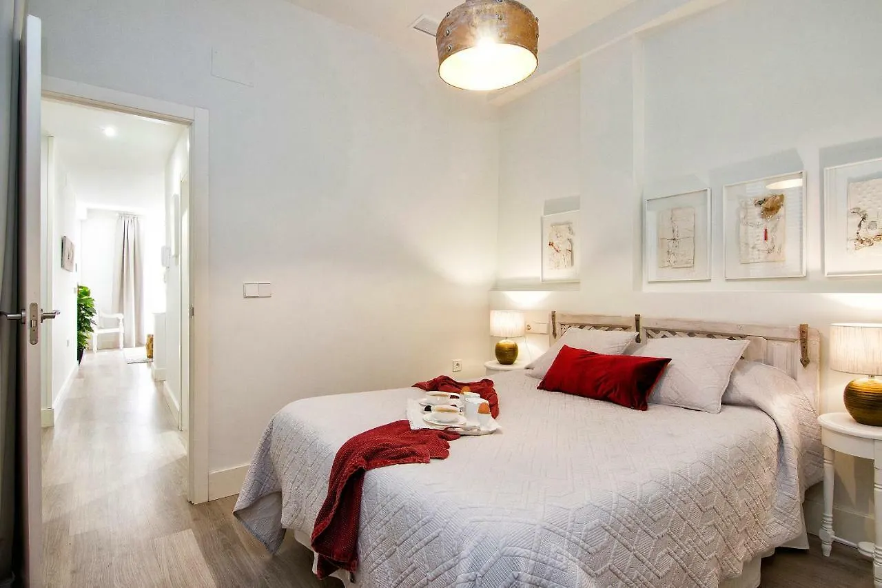 Central Deluxe Apartments Granada Spain